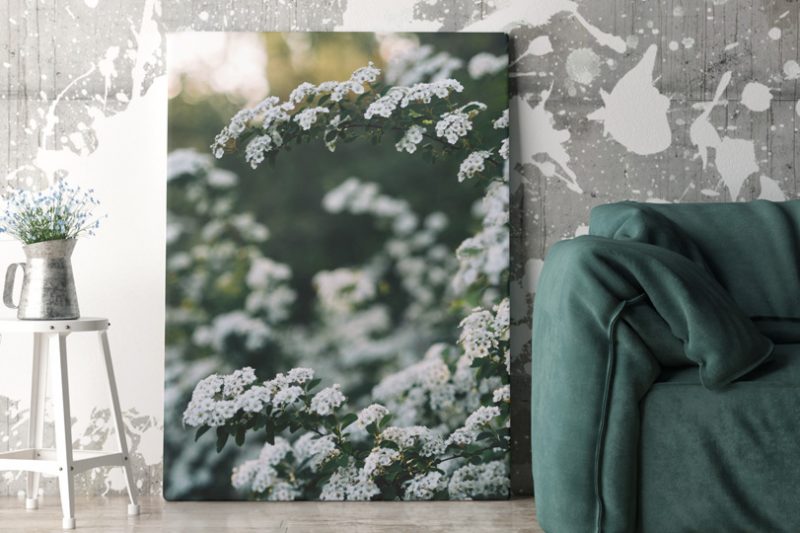 Décorez vos murs avec Photo-sur-Toile.fr !