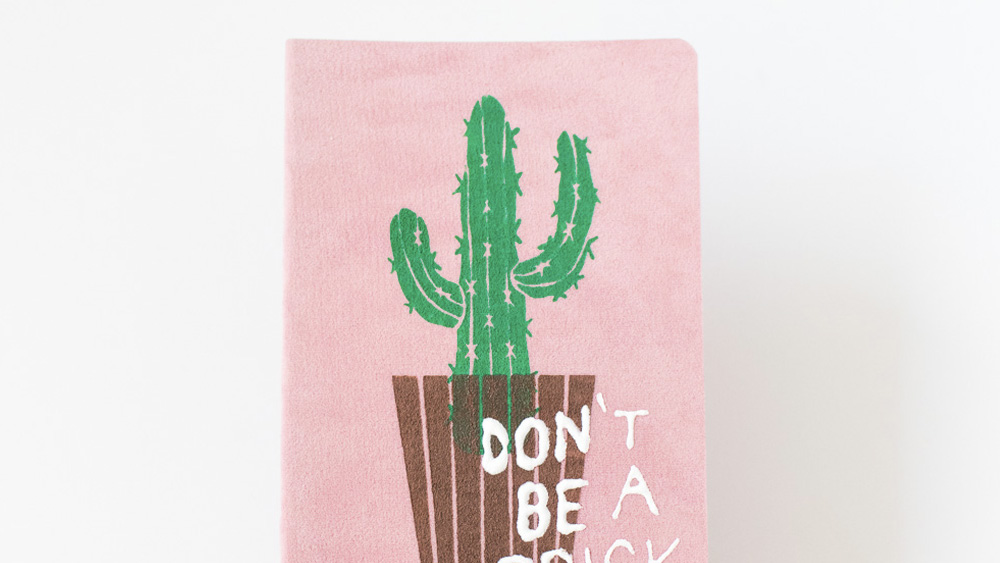carnet diy cactus