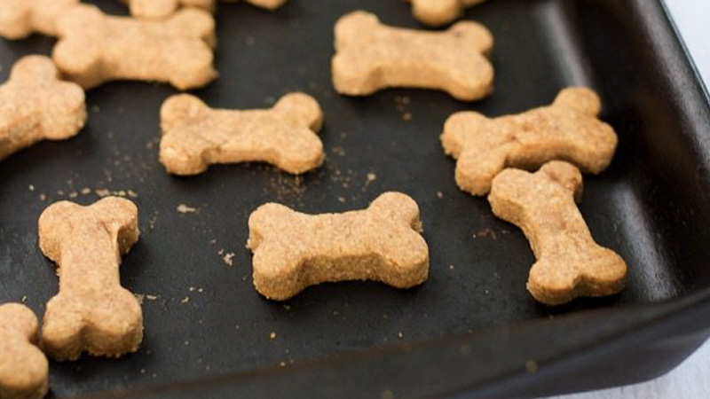 biscuit chien diy recette