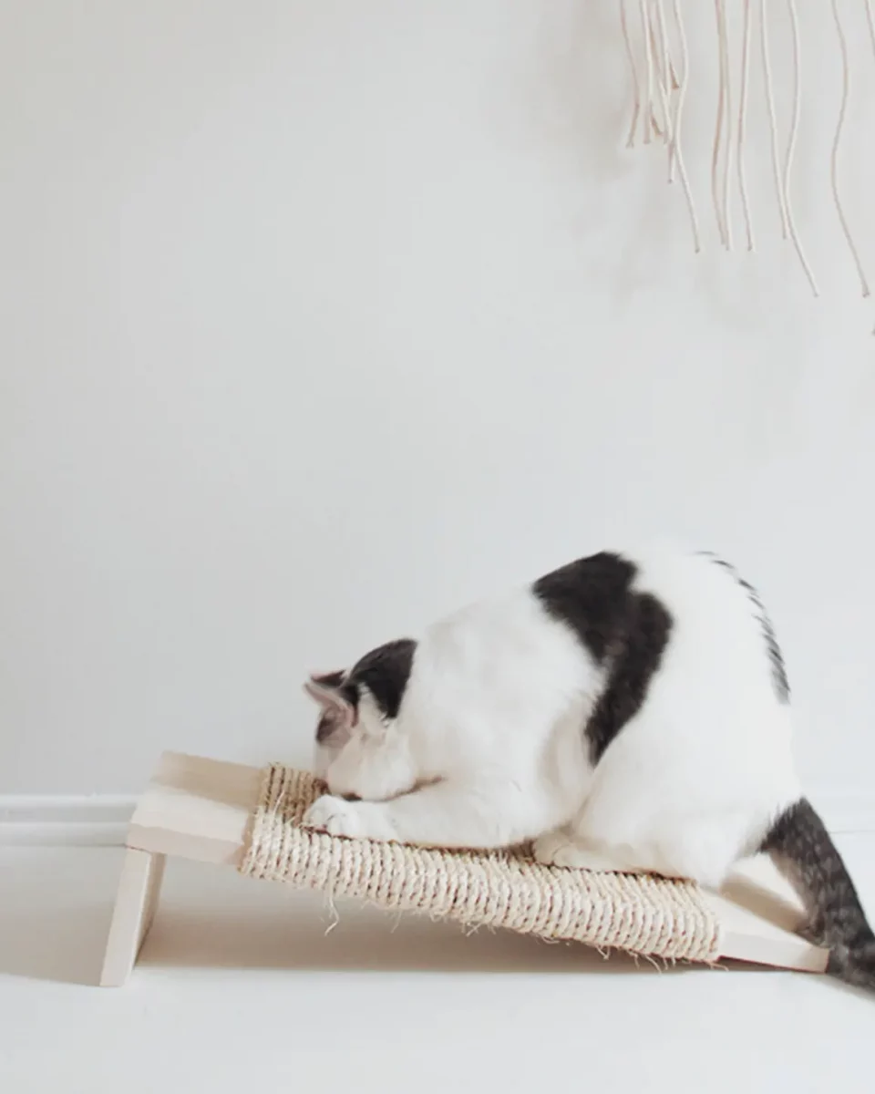 griffoir chat diy corde bois