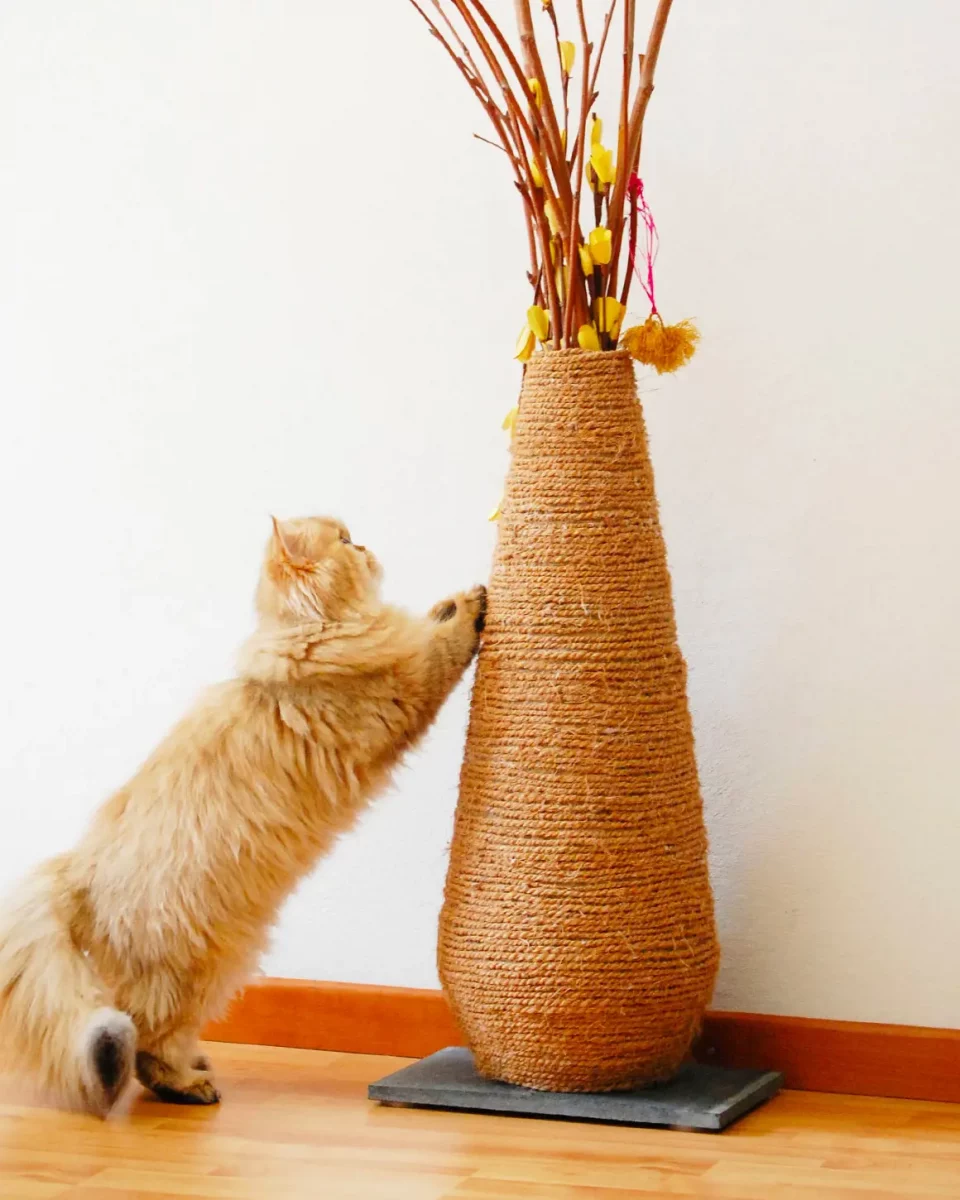 griffoir chat diy vase