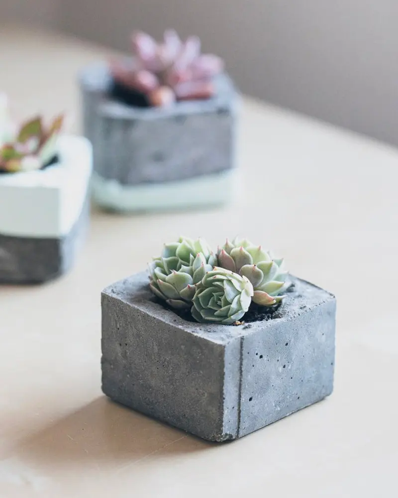 mini pot fleur beton diy