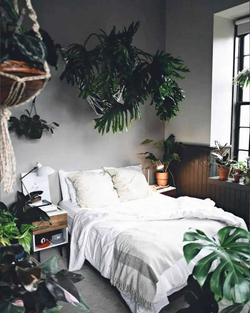 plantes deco chambre tropicale