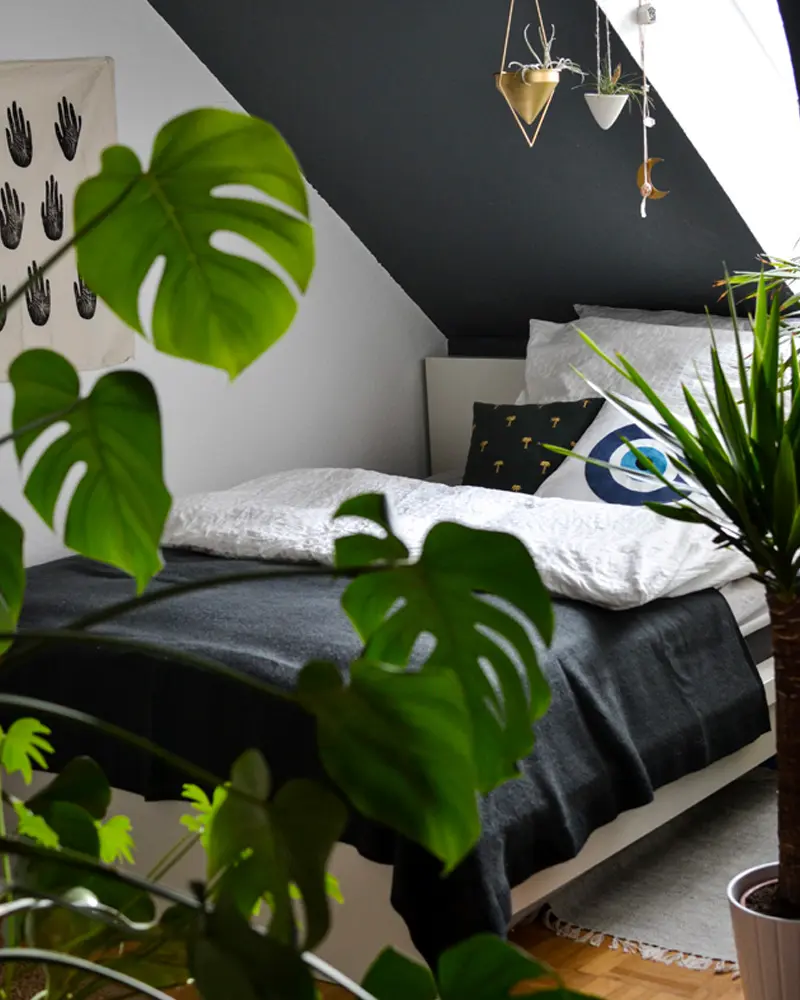 deco chambre tropicale vert noir