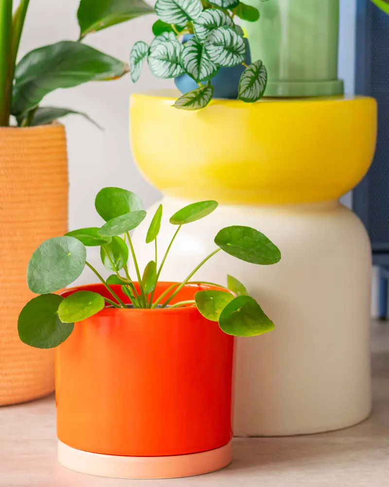 pot ceramique orange