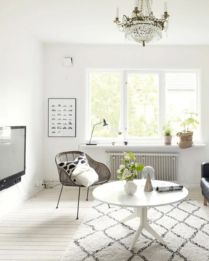 deco appartement scandinave nature noir blanc salon