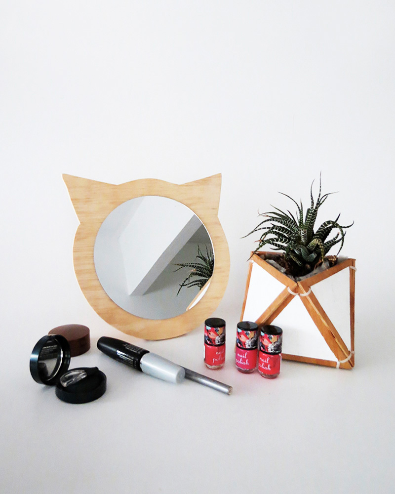 miroir chat diy