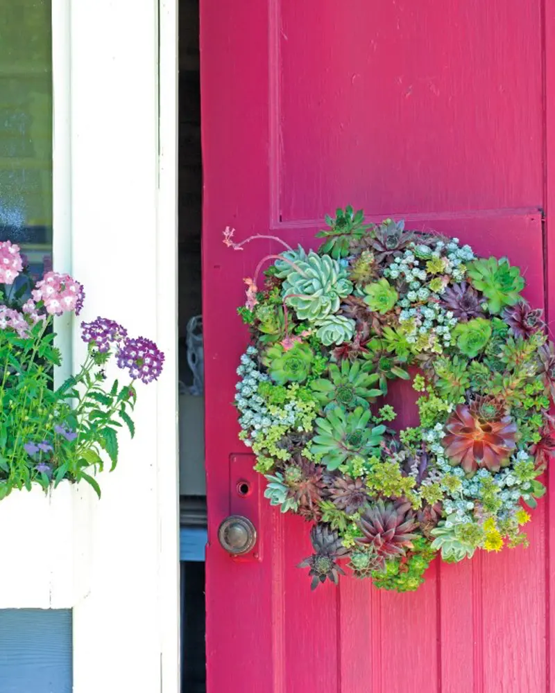 couronne murale plante grasse diy