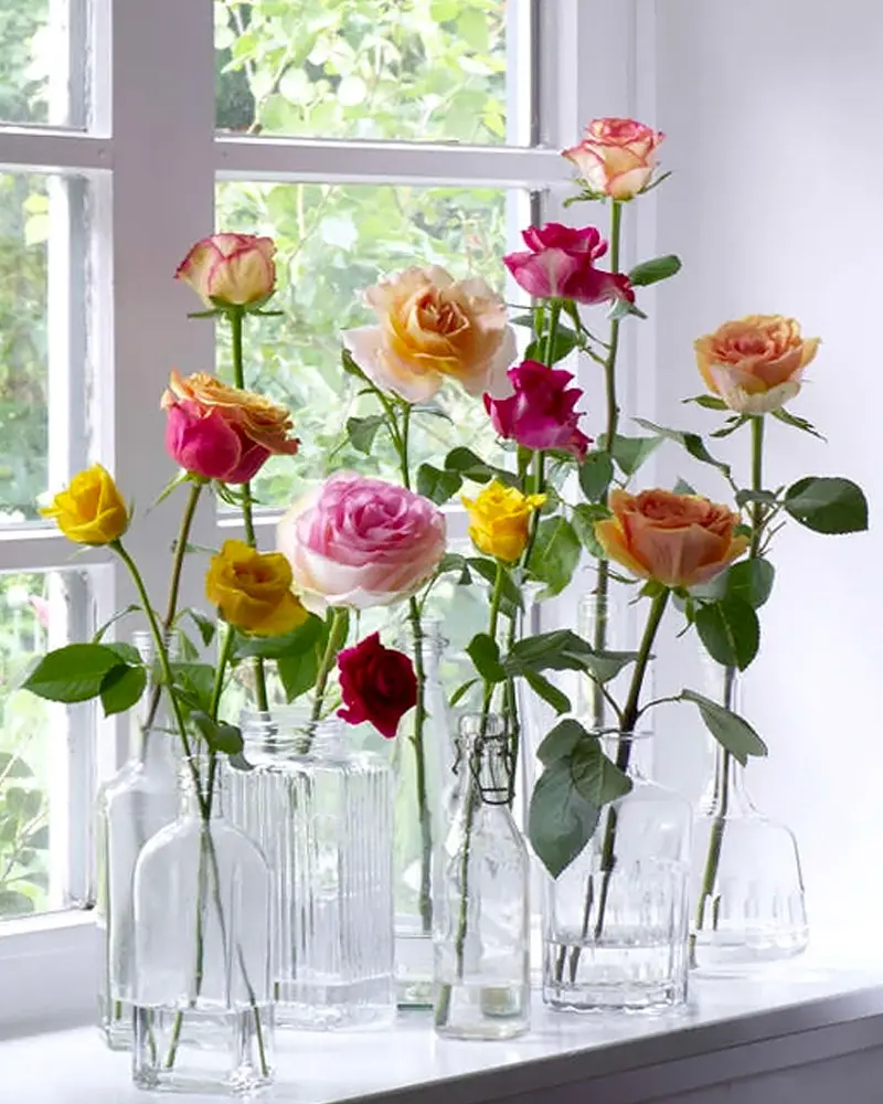 soliflore diy bouteille verre