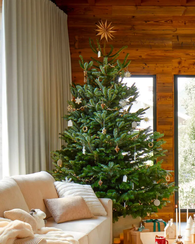 deco noel nature vert bois