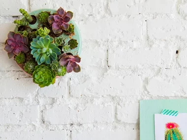 fabriquer jardin mural diy