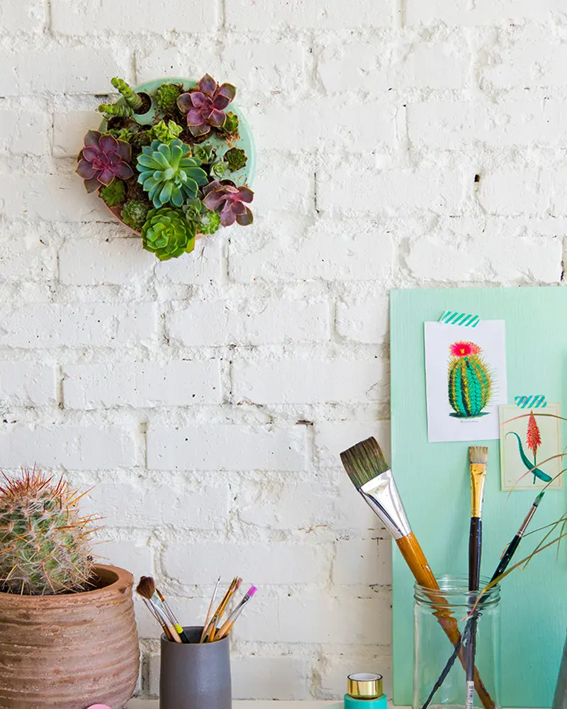 jardin mural diy assiette