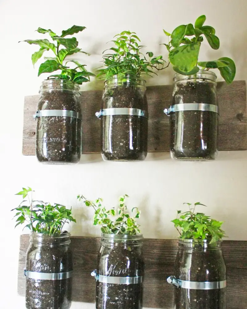 jardin mural diy bocal bois