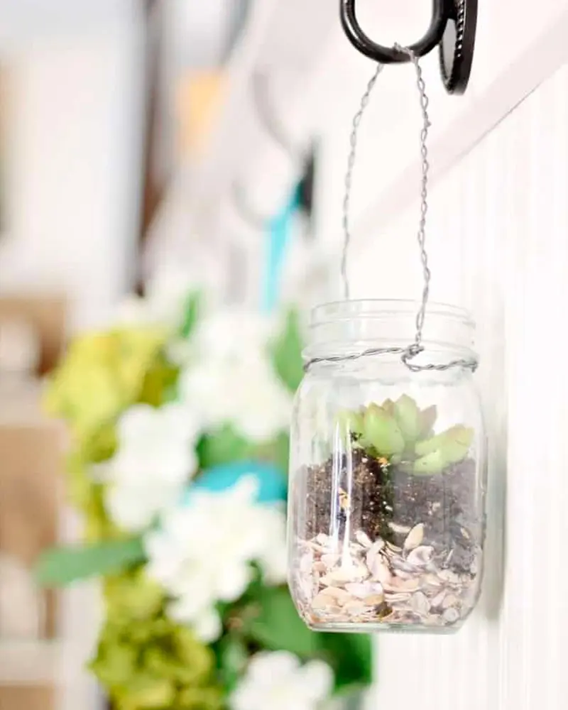 bocal jardin mural diy