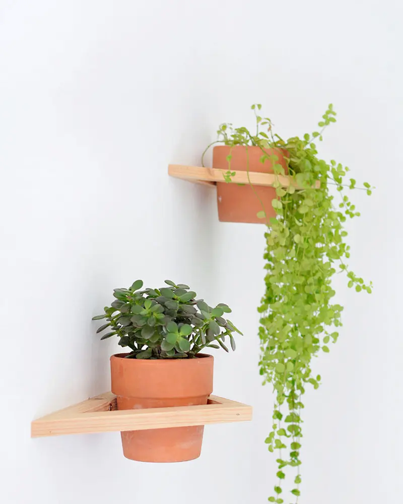 jardin mural diy etageres bois