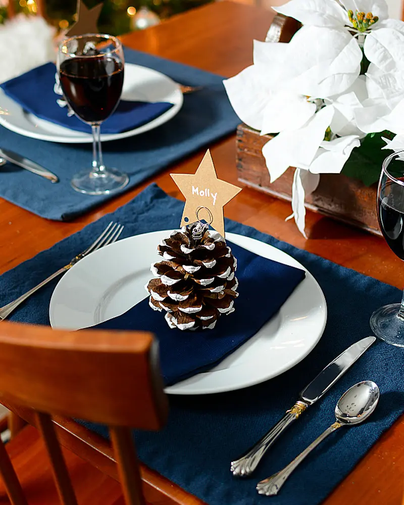 marque place noel diy pomme de pin