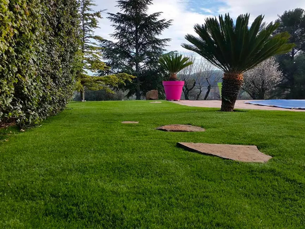 gazon synthetique