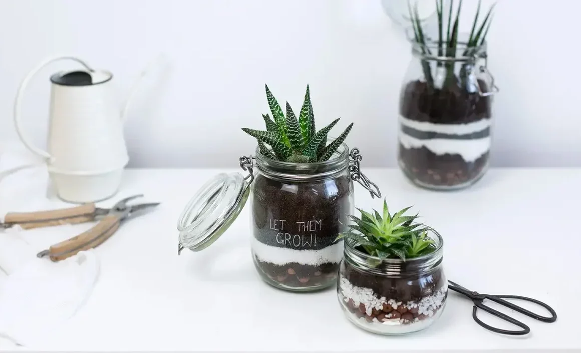 fabriquer terrarium diy