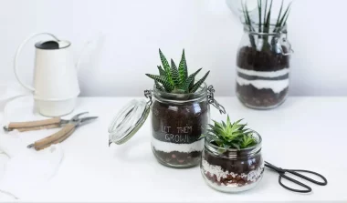 fabriquer terrarium diy
