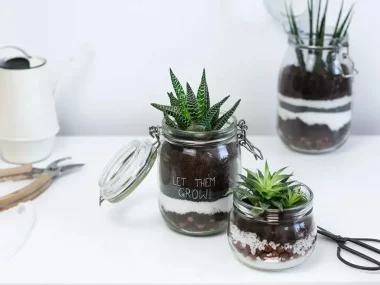 fabriquer terrarium diy