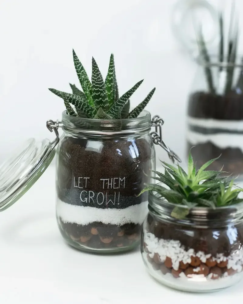 terrarium petit bocal diy