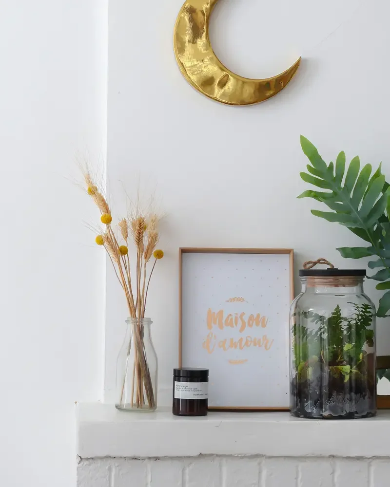 fabriquer terrarium bocal diy