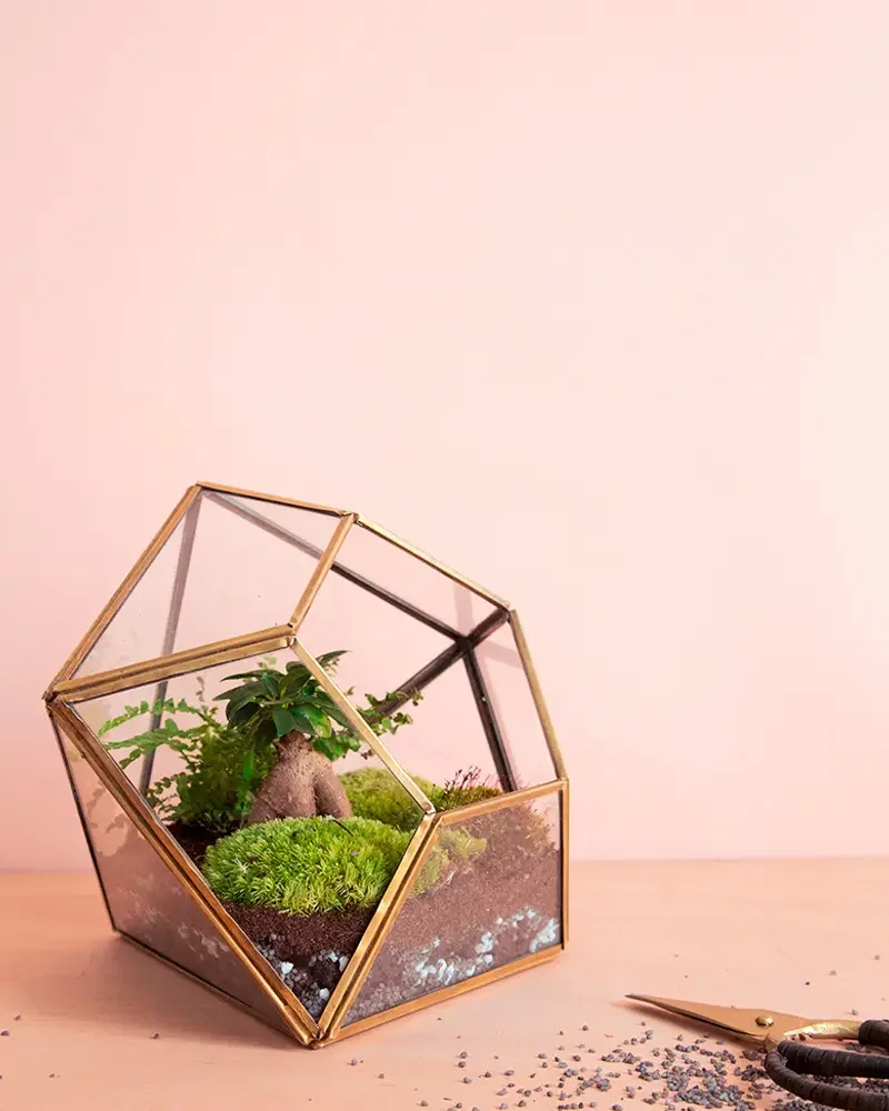 terrarium facette geometrique a poser diy