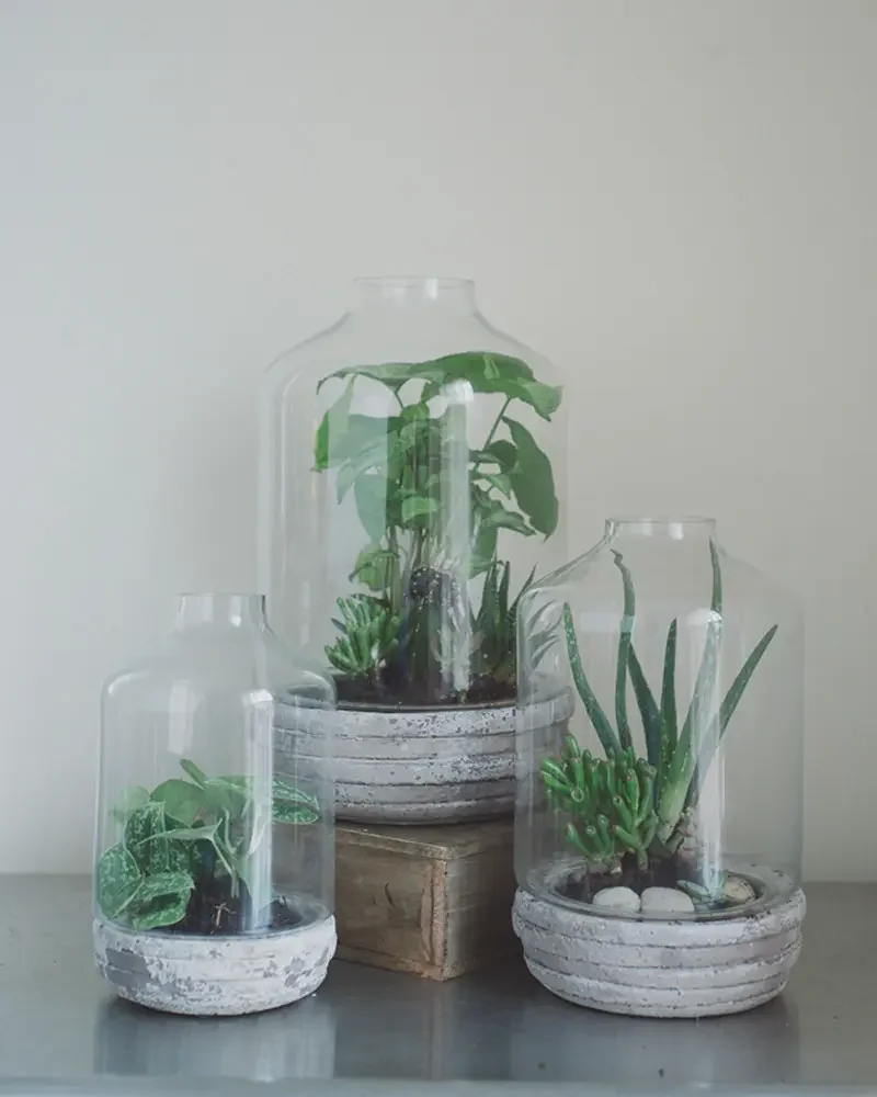 terrarium a poser diy