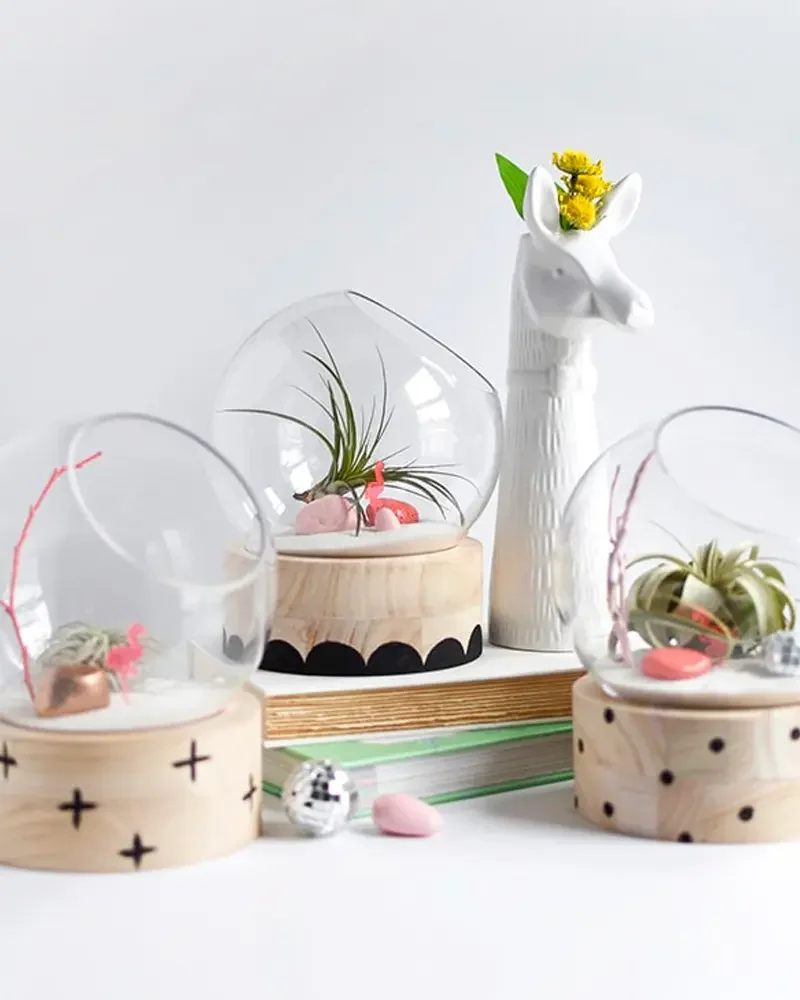 terrarium boule a poser diy