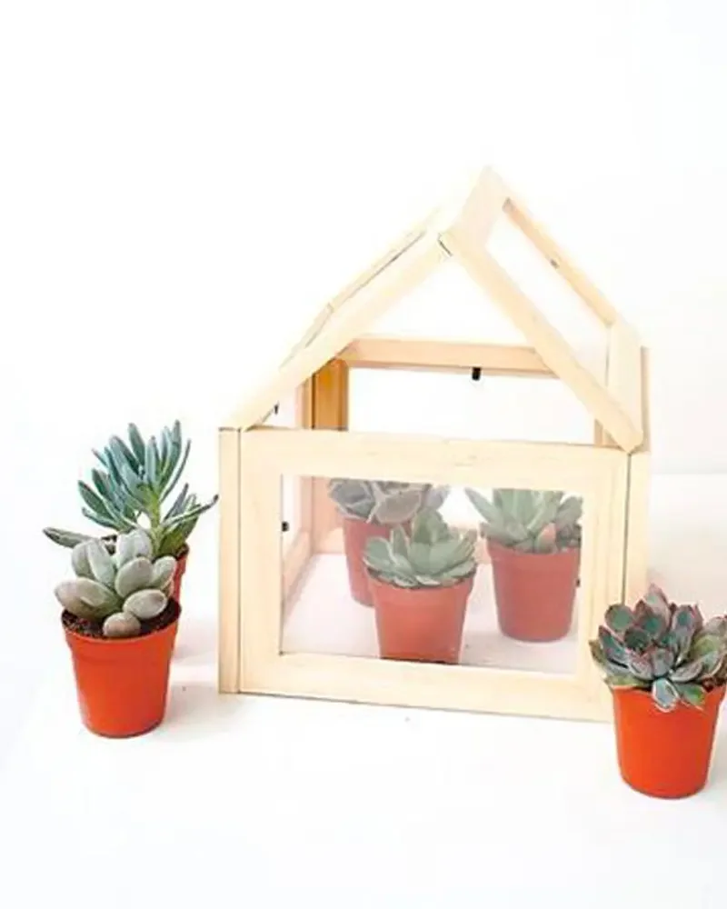 terrarium cadres diy