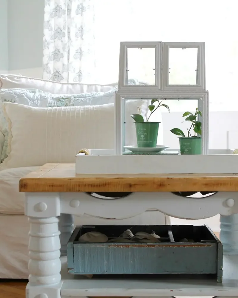 terrarium cadres blancs diy