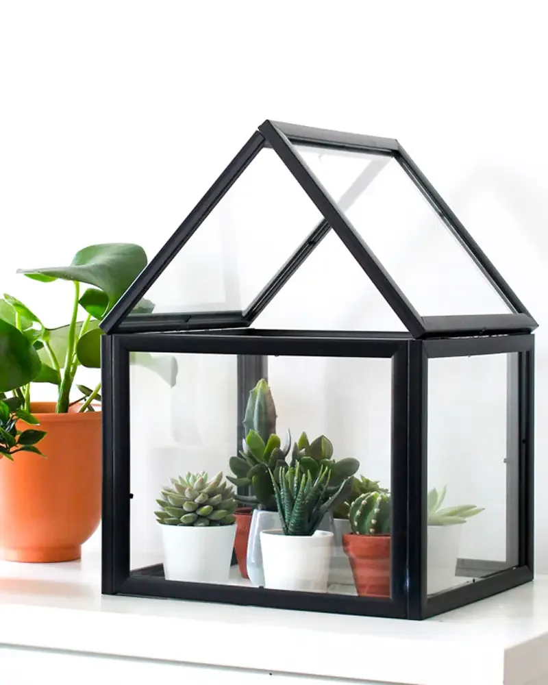 terrarium cadres noirs diy