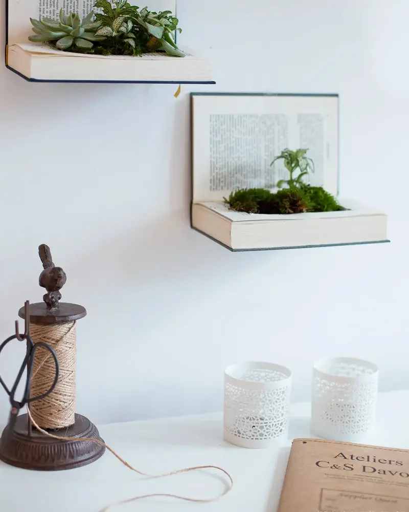 terrarium mural livre diy