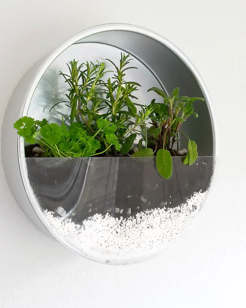 terrarium mural diy moule gateau