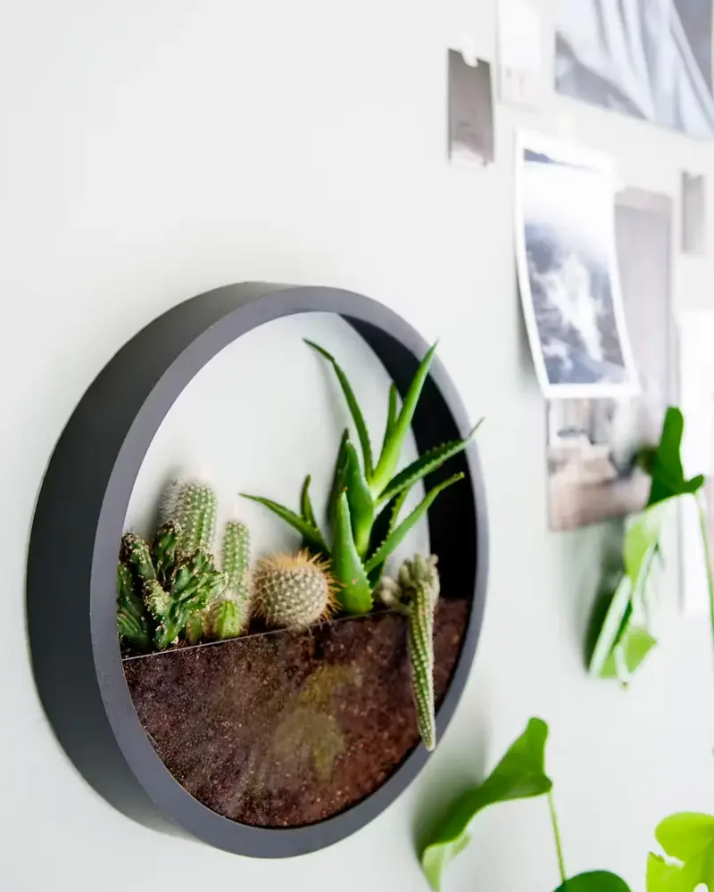 terrarium mural horloge diy