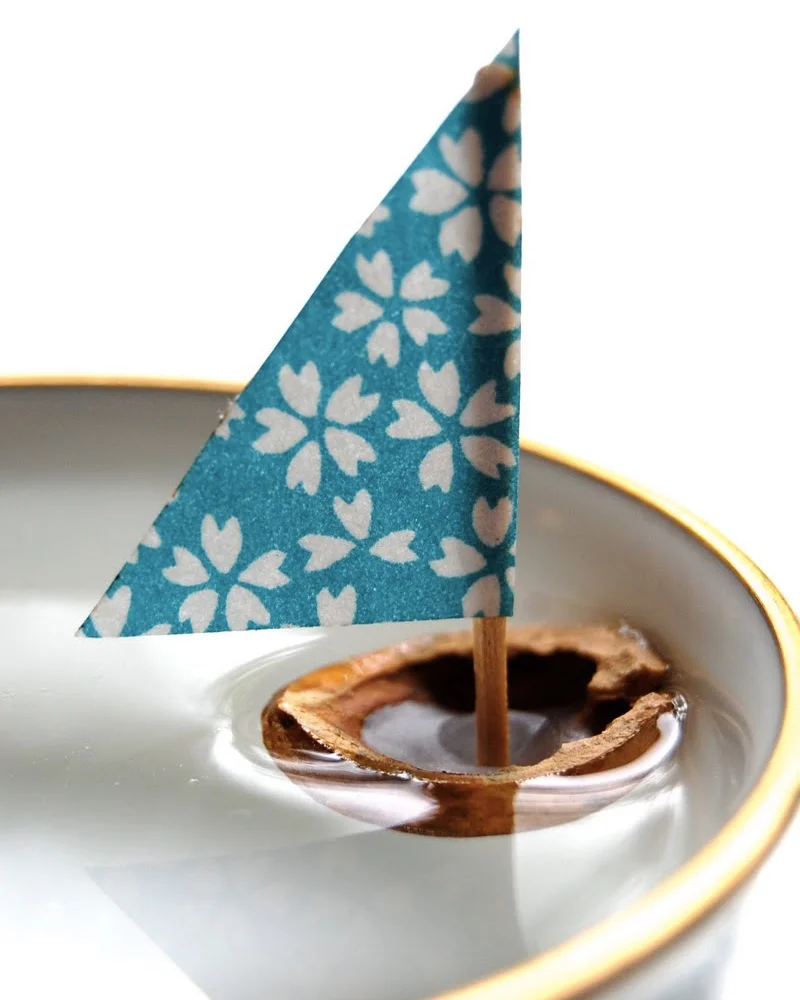 bateau noix diy