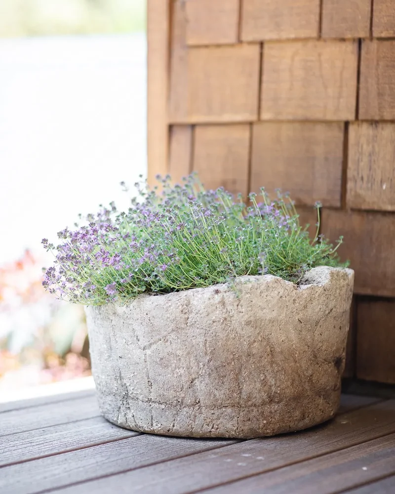 pot beton rustique diy jardin