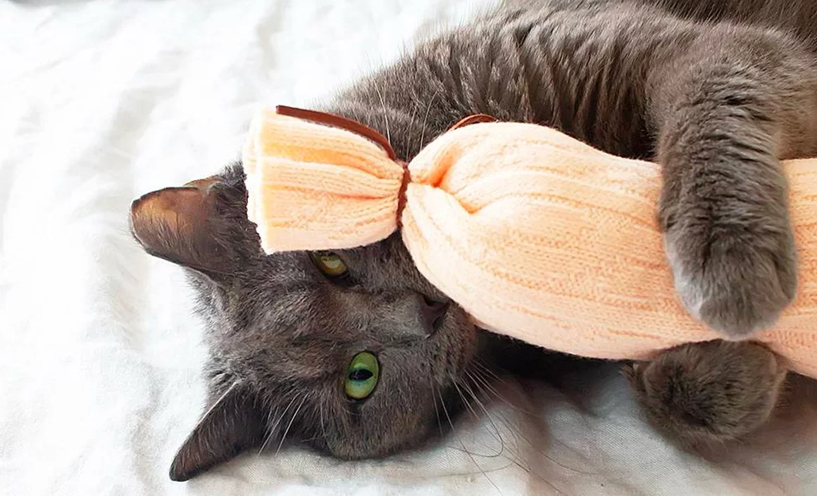 fabriquer diy animaux