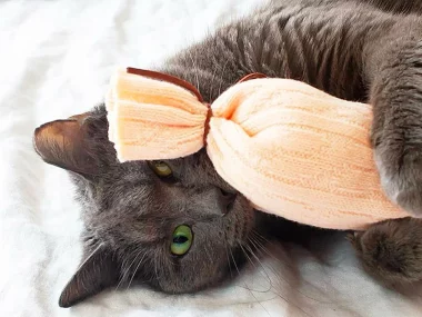 fabriquer diy animaux