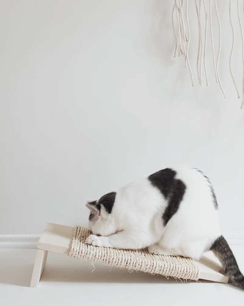griffoir chat corde diy