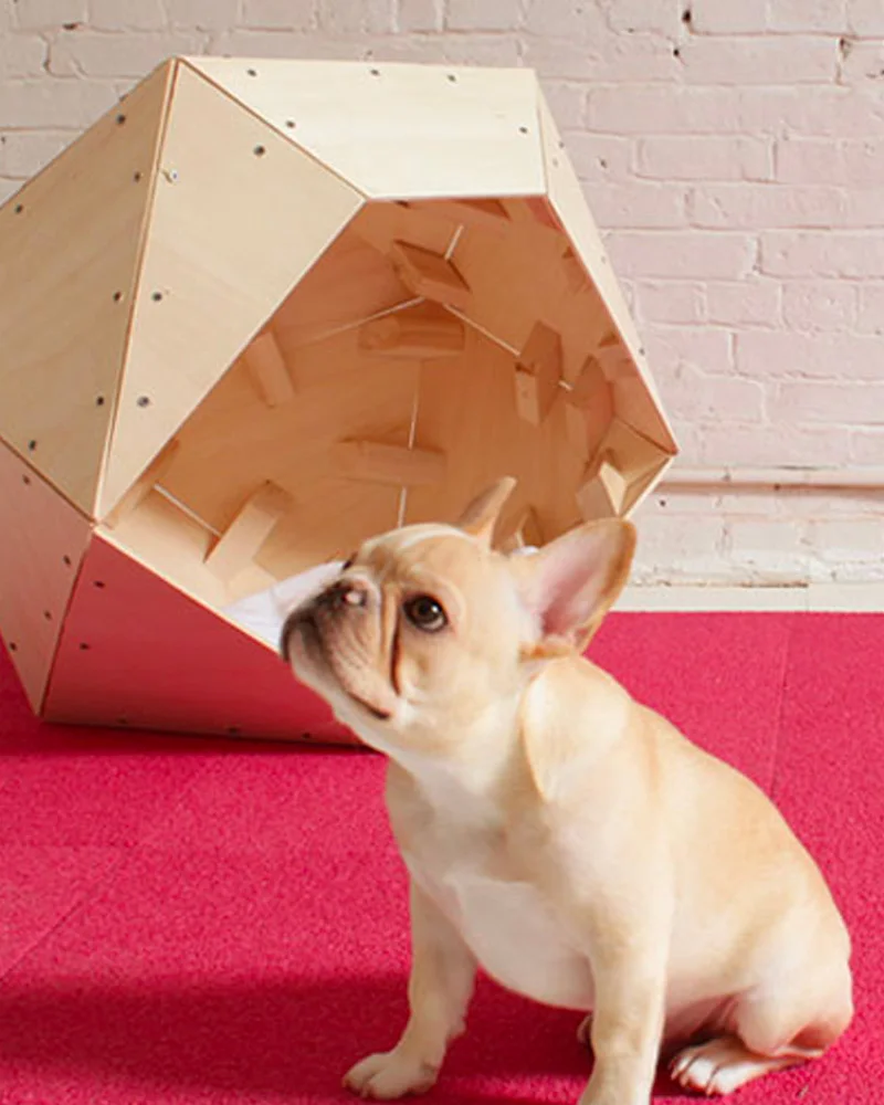 cabane chien bois diy