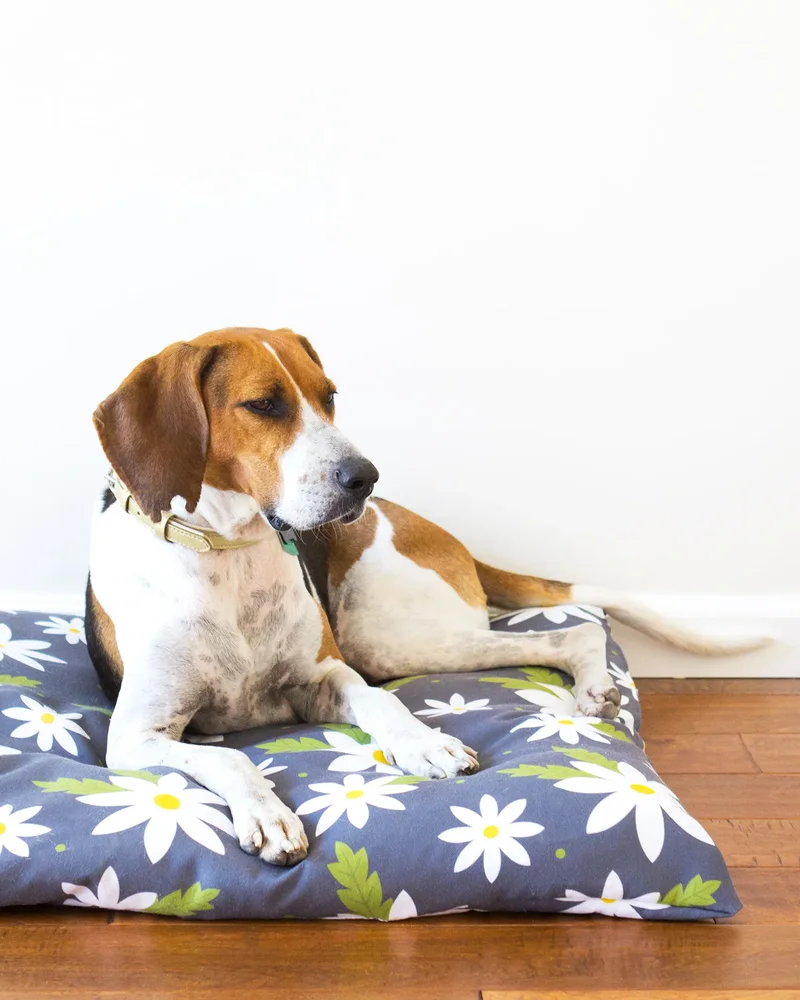 coussin chien diy