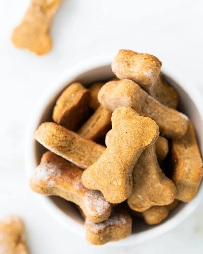 biscuit chien os diy