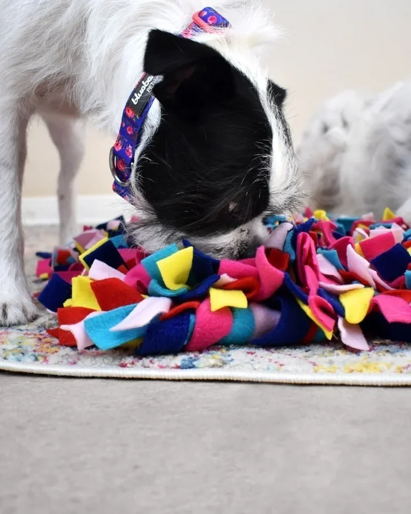 tapis fouille chien diy