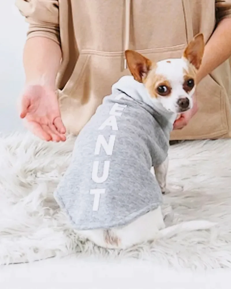 pull chien diy
