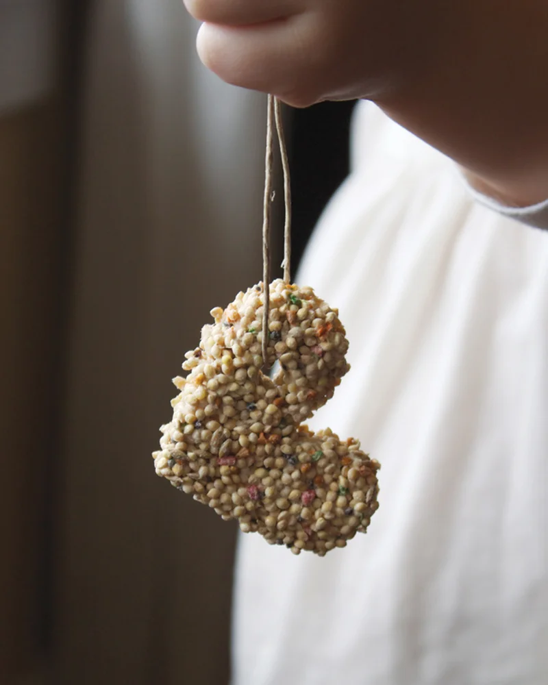 bloc graine diy oiseau