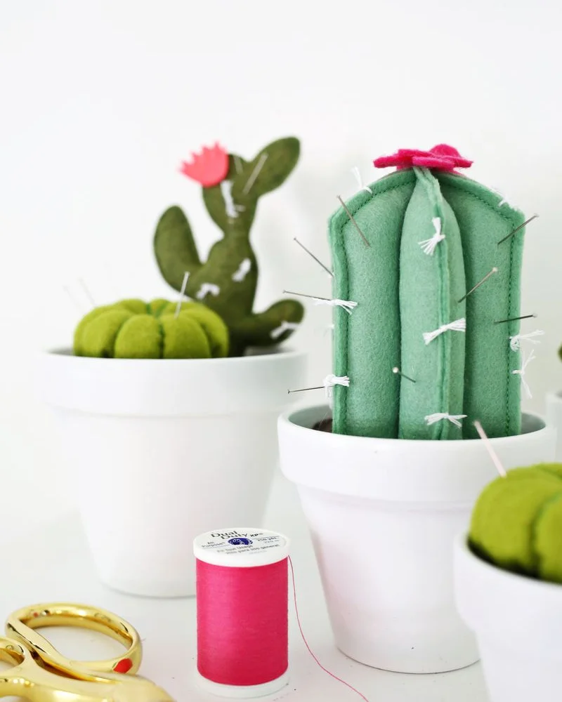 cactus diy feutrine