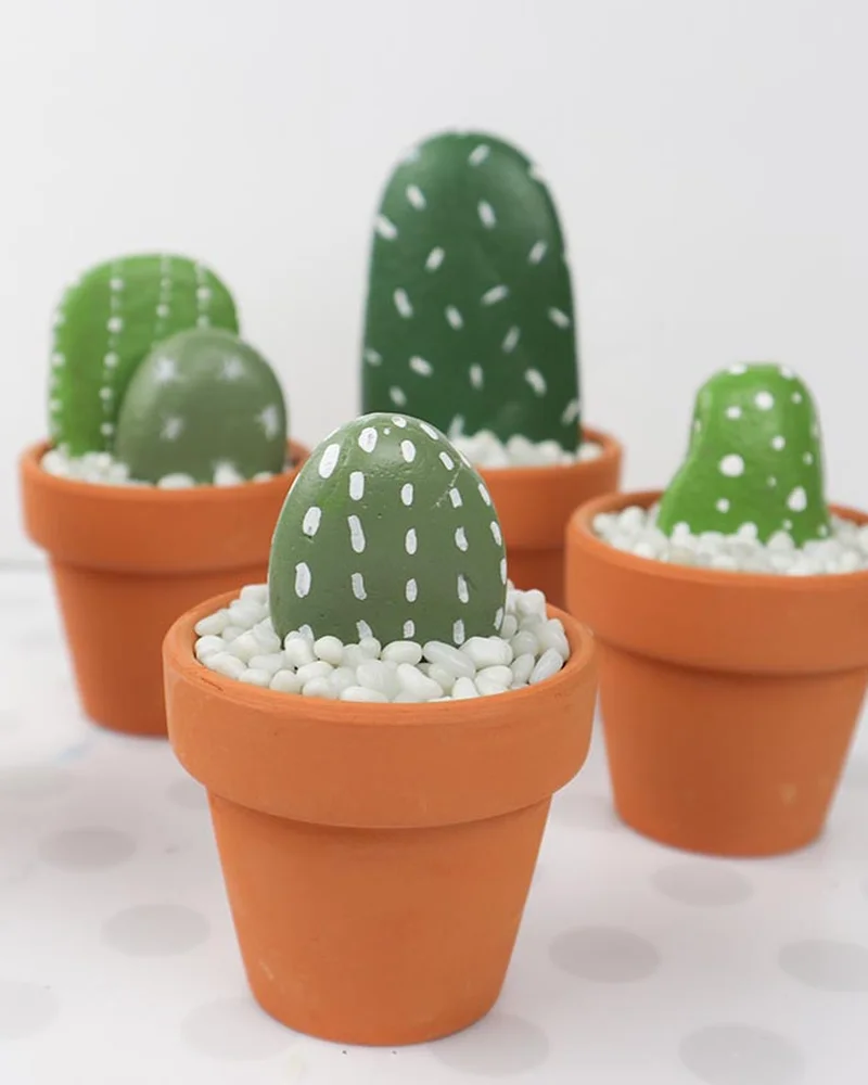 cactus cailloux diy