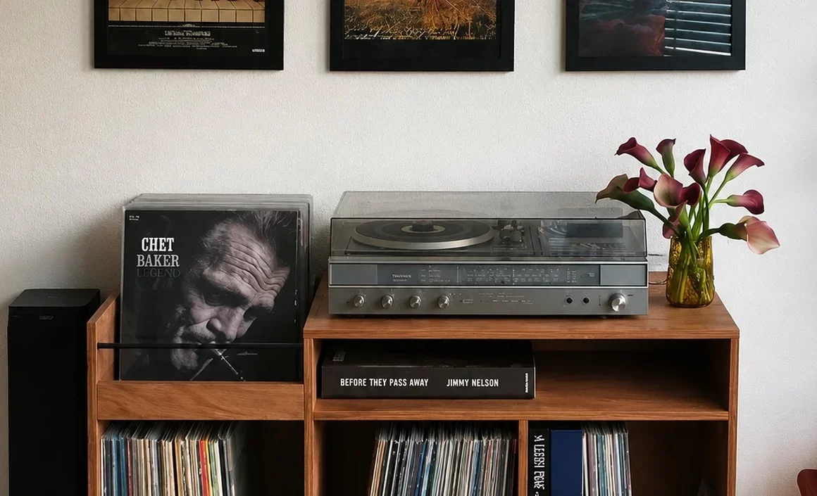 fabriquer rangement vinyle diy