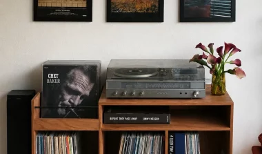 fabriquer rangement vinyle diy